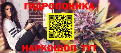 стафф Бийск