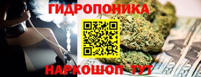 ГАЛЛЮЦИНОГЕННЫЕ ГРИБЫ Беслан