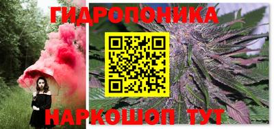 ГАЛЛЮЦИНОГЕННЫЕ ГРИБЫ Беслан