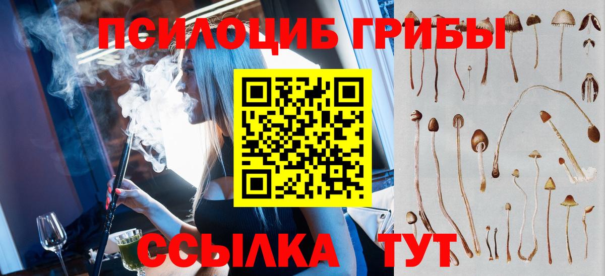 где можно купить   Галлюциногенные грибы Magic Shrooms  Вход с VPN  Коломна 